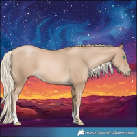 Horse Color:Chocolate Palomino Pearl 