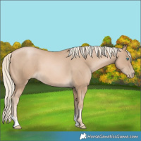 Horse Color:Chocolate Palomino Pearl 