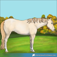 Horse Color:Classic Cream Champagne Pearl 