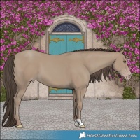 Horse Color:Classic Champagne 