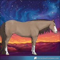 Horse Color:Classic Champagne 