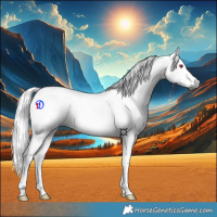 Horse Color:Gray Chestnut Chinchilla Ice Tobiano 