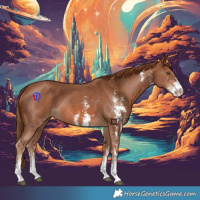 Horse Color:Chestnut Sabino