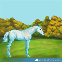 Horse Color:Thunderstruck Silver Bay Ice Dun 