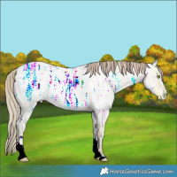 Horse Color:Gold Champagne Ice Roan Dun 