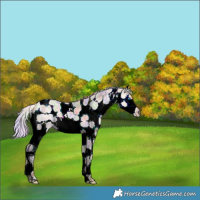 Horse Color:Nacre White Spotted Silver Bay Ice Dun Splash 