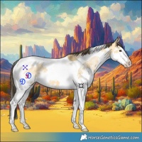 Horse Color:Buckskin Dun Splash Tobiano