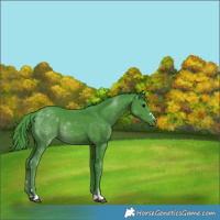Horse Color:Watercolor Black 