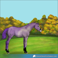 Horse Color:Watercolor Grullo Rabicano 