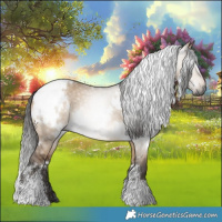 Horse Color:Gray White Spotted Bay Dun 