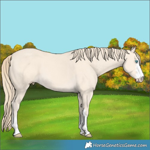Horse Color:Perlino 