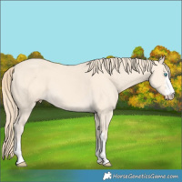 Horse Color:Perlino 