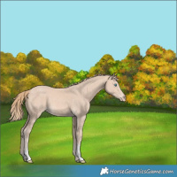 Horse Color:Perlino 
