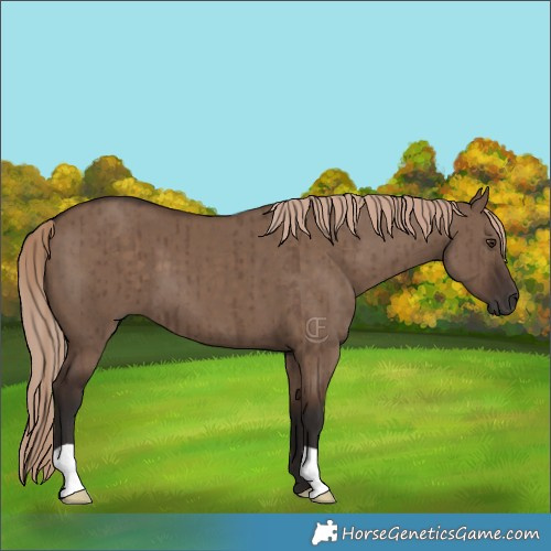 Horse Color:Liver Red Dun Brindle 