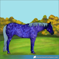 Horse Color:ERROR: UNKNOWN ANOMALY