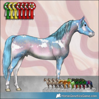 Horse Color:Watercolor White Spotted Brown Onyx 