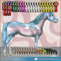Horse Color:Watercolor White Spotted Brown Onyx