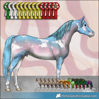 Horse Color:Watercolor White Spotted Brown Onyx