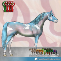 Horse Color:Watercolor White Spotted Brown Onyx