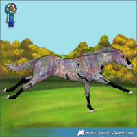 Horse Color:Nacre Silver Brown Sabino 