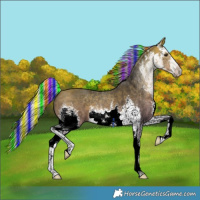 Horse Color:Painted White Spotted Silver Buckskin 