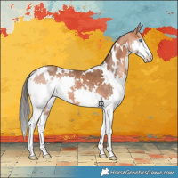 Horse Color:White Spotted Bay Splash