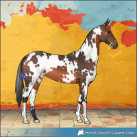 Horse Color:White Spotted Brown 