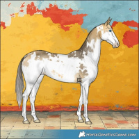 Horse Color:White Spotted Buckskin Splash 