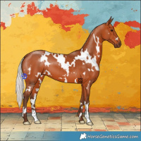 Horse Color:White Spotted Silver Bay 