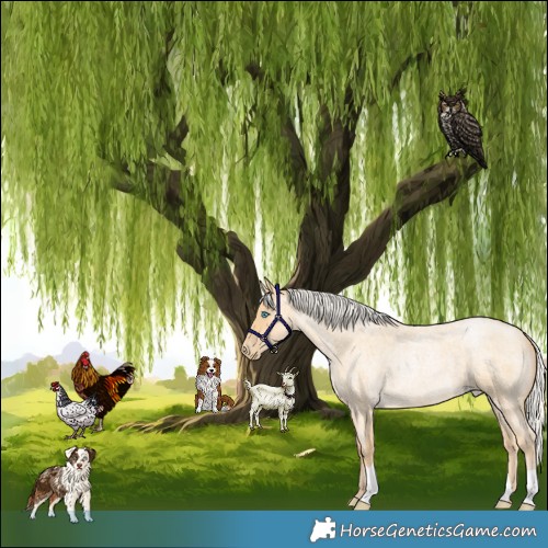 Horse Color:Silver Buckskin Roan Pearl 