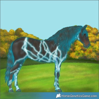 Horse Color:Thunderstruck Liver Chestnut