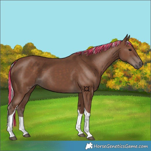 Horse Color:Painted Silver Black Tobiano