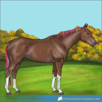 Horse Color:Painted Silver Black Tobiano 