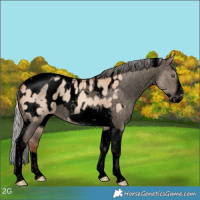 Horse Color:Void Silver Sable Champagne Dun Tobiano Frame Blanket 
