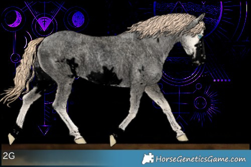 Horse Color:Void Amber Cream Champagne Roan Pearl Dun Frame 