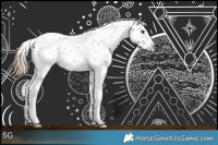 Horse Color:Liver Chestnut Sabino Splash 