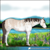 Horse Color:White Spotted Amber Champagne Dun 