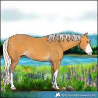 Horse Color:White Spotted Silver Buckskin