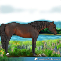 Horse Color:Brown 