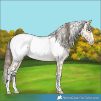 Horse Color:Buckskin Near Fewspot 