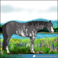 Horse Color:Smoky Black Sabino
