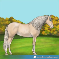 Horse Color:Palomino Pearl