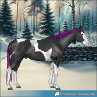Horse Color:Painted Black Splash Tobiano