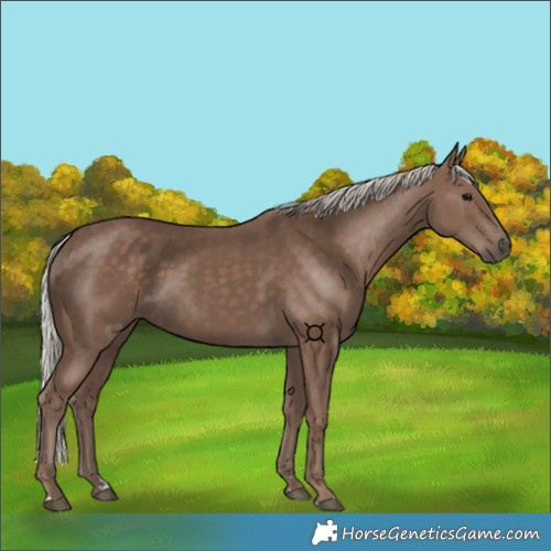 Horse Color:Silver Black 