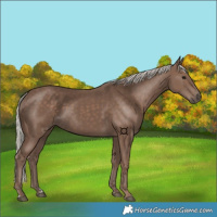 Horse Color:Silver Black 