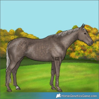 Horse Color:Silver Black 