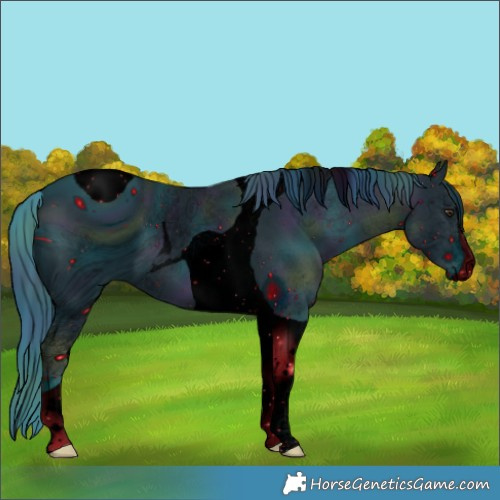 Horse Color:ERROR: UNKNOWN ANOMALY