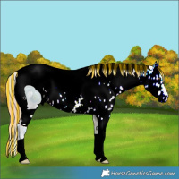 Horse Color:ERROR: UNKNOWN ANOMALY