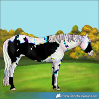 Horse Color:Nacre White Spotted Silver Buckskin Ice Pearl Onyx Frame 