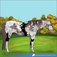Horse Color:Nacre Liver Chestnut Ice Tobiano 